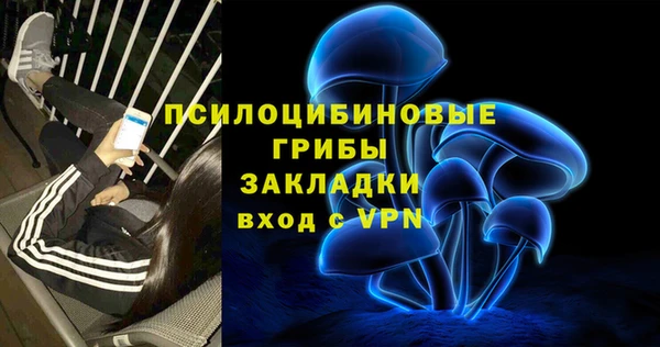 МДПВ Абдулино