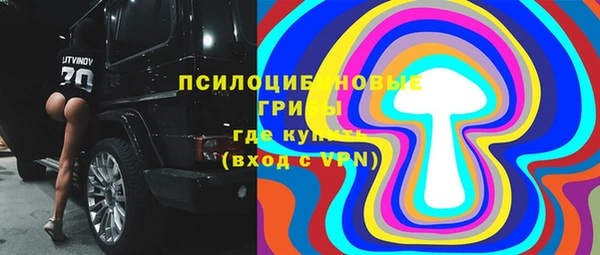 СК Абинск