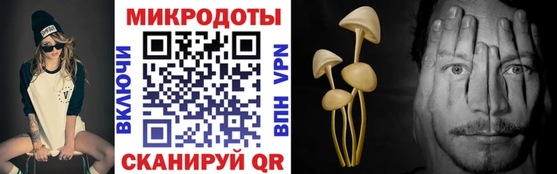 Псилоцибиновые грибы Cubensis  ссылка на мегу ССЫЛКА  Старая Русса  купить наркоту 